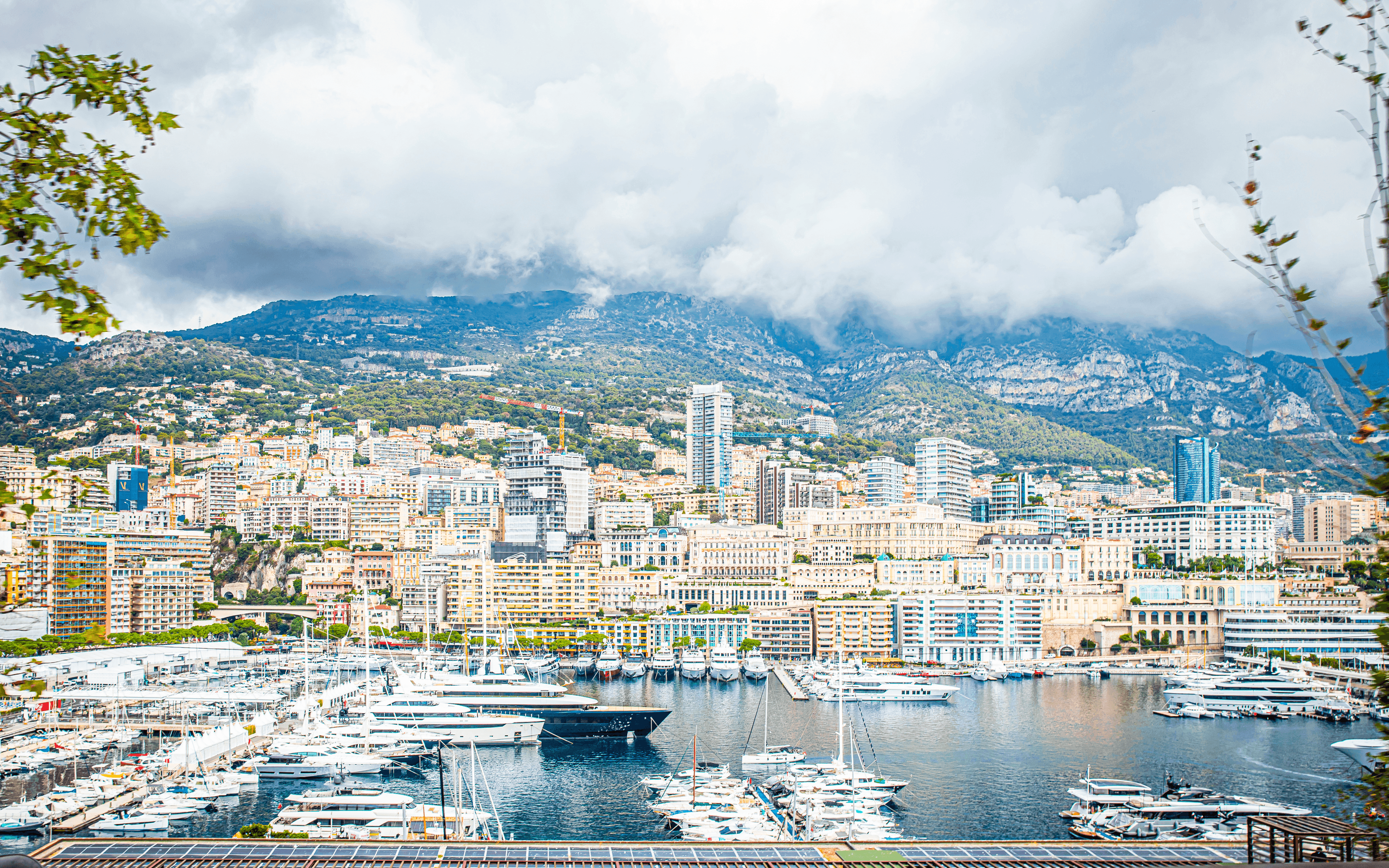 Lecuyer-Annelyse-Monaco.png
