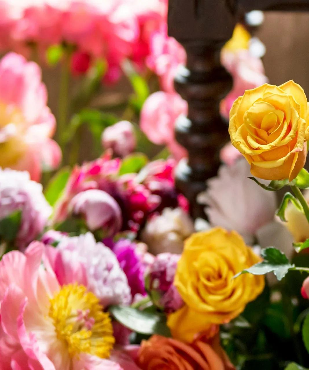 garden_floral_essentials