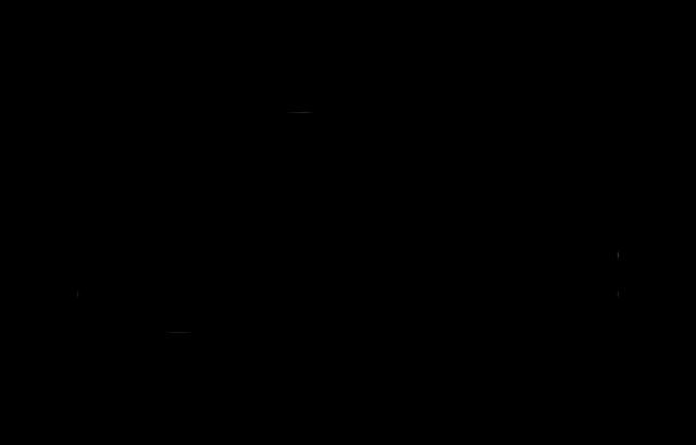 lagostina-partenaire